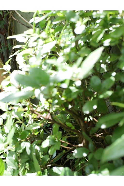 图片[57]-#Sayaka Okada 岡田紗佳 & Natsuki Ikeda 池田夏希 – Pyramid QUEEN 金字塔QUEEN (2022-10-24) - 全本免费在线观看-阅图吧