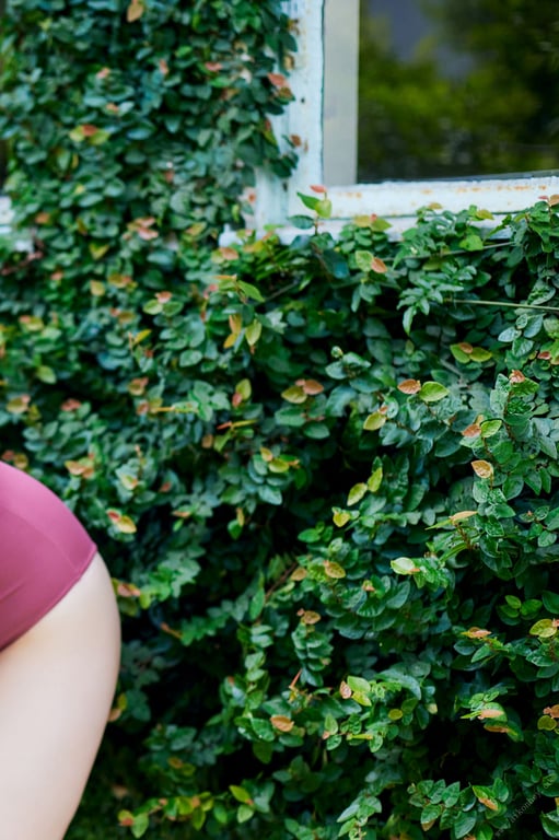 图片[99]-#夜道雪 人气声优的棉花糖身体 FRIDAY数字写真集 - 全本免费在线观看-阅图吧