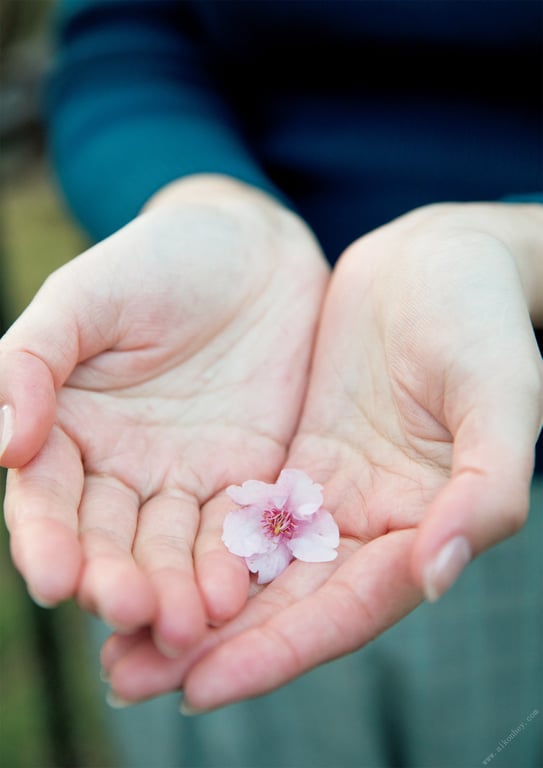 图片[80]-#Asuka Oda 小田飞鸟 – Sanctuary 圣域 (2018-04-30) - 全本免费在线观看-阅图吧
