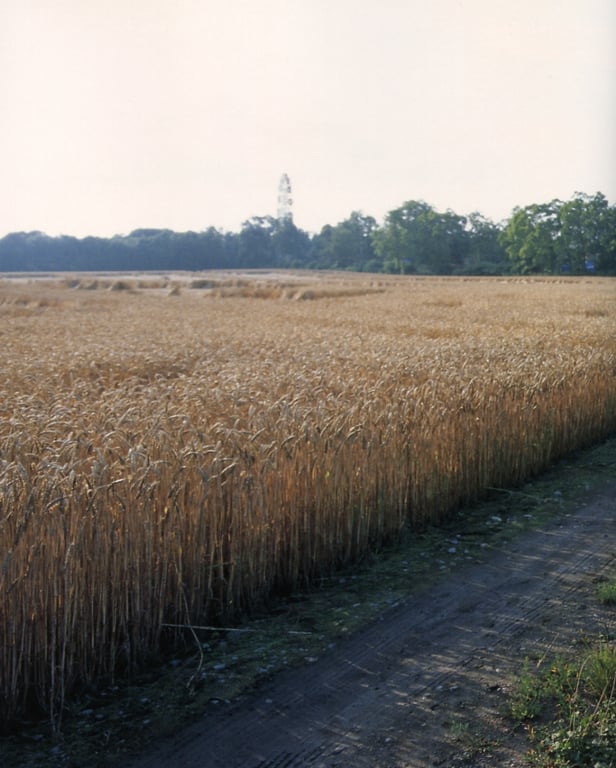 图片[118]-#原史奈 – love story - 全本免费在线观看-阅图吧