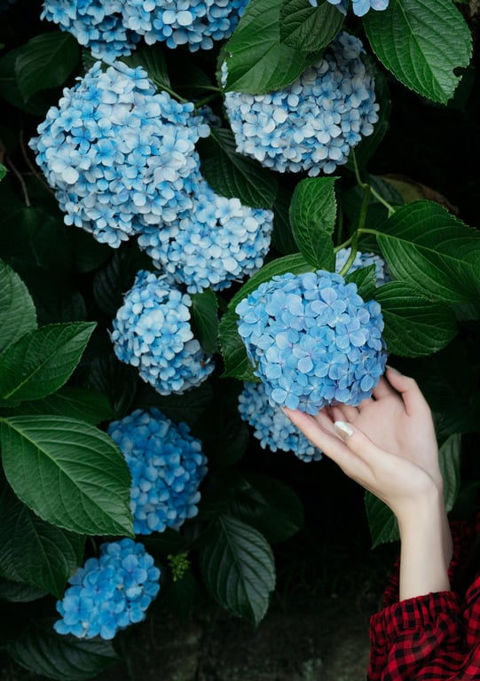 图片[155]-七沢みあ デジタル写真集 とられち(No Watermark) - 阅图吧-阅图吧