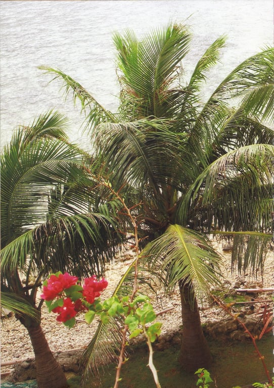 图片[49]-#熊井友理奈写真集 FLOWERAGE (2009.07.25) - 全本免费在线观看-阅图吧