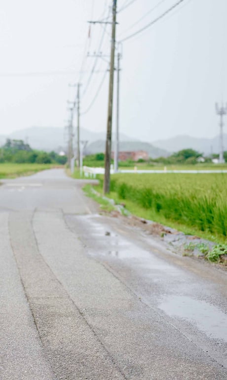 图片[54]-#Runa Toyoda 豊田琉夏 Summer when you were. 「你曾存在的夏天。」 (2021.08.16) - 全本免费在线观看-阅图吧