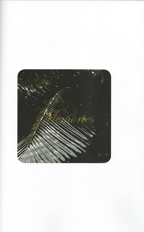 图片[40]-#モーニング娘。亀井絵里・道重さゆみ・田中れいな 写真集 亀井絵里 卒業記念 ハロハロ！Memories - 全本免费在线观看-阅图吧