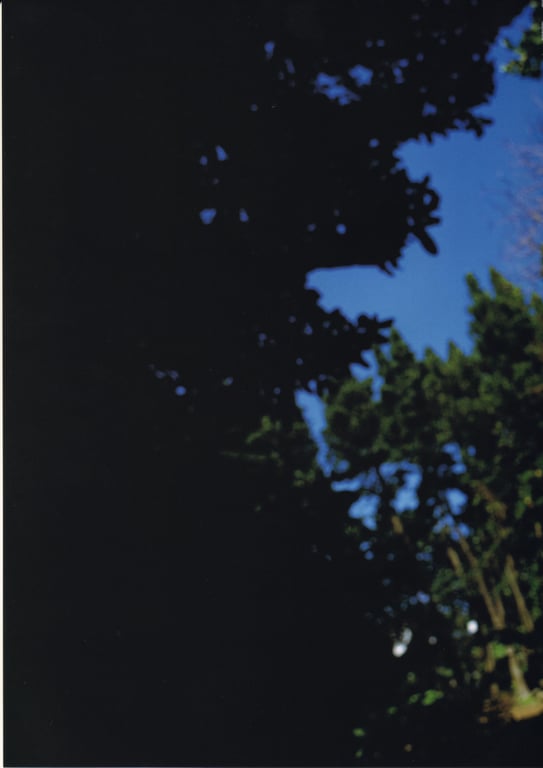 图片[13]-#石川梨华 – 華美 hana-bi (見開付) - 全本免费在线观看-阅图吧