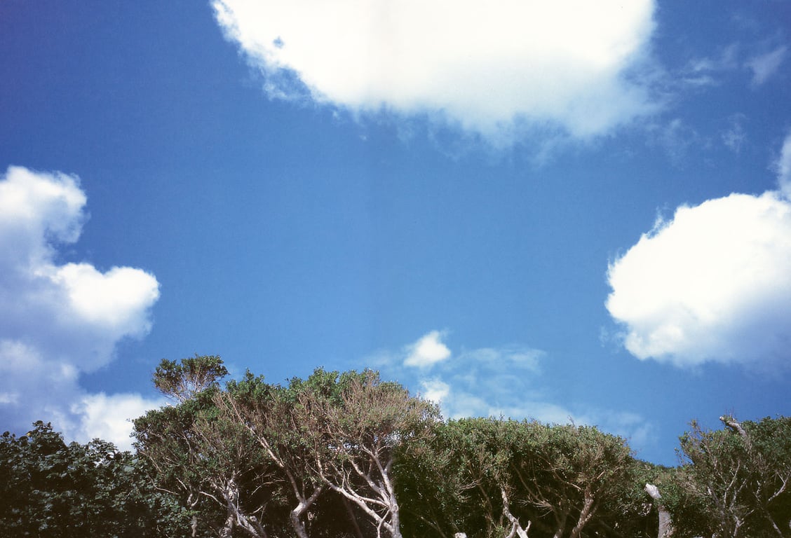 图片[10]-#山本早织 – 96cmでHcup - 全本免费在线观看-阅图吧