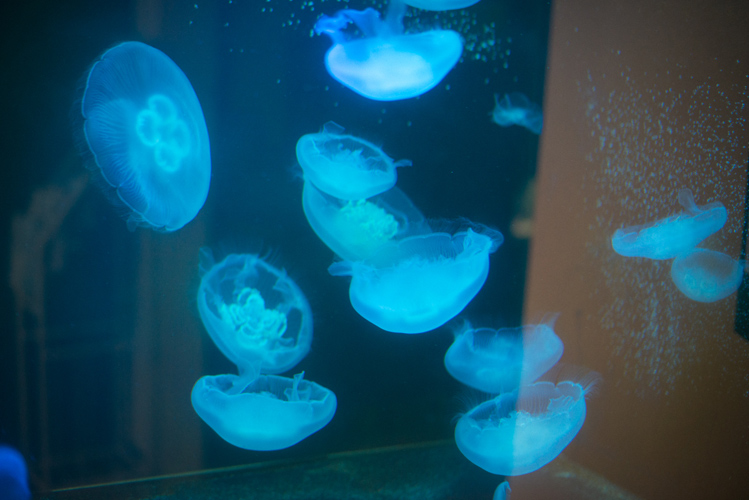 图片[41]-Ryoha Kitagawa 北川绫巴 - Driving Date with Girlfriend SKE48 与恋人的兜风约会 - 在线免费观看-阅图吧