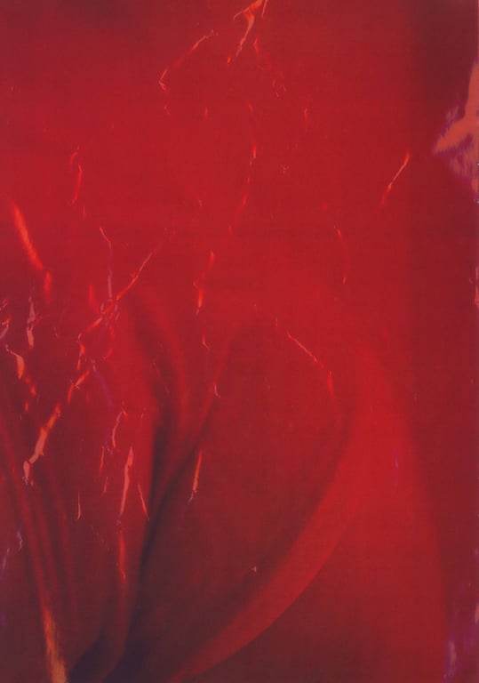 图片[16]-#(月刊系列 061) – 月刊061 三浦理惠子 - 全本免费在线观看-阅图吧