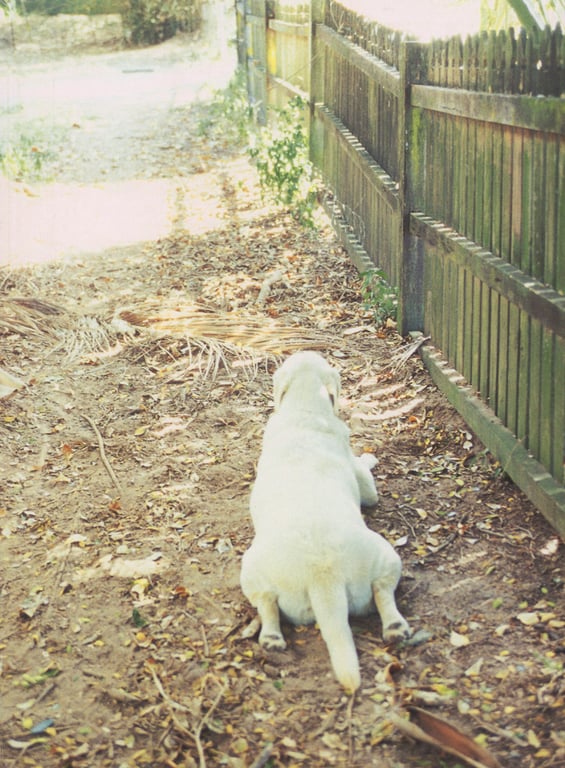 图片[126]-#相楽のり子 写真集 on／off - 全本免费在线观看-阅图吧