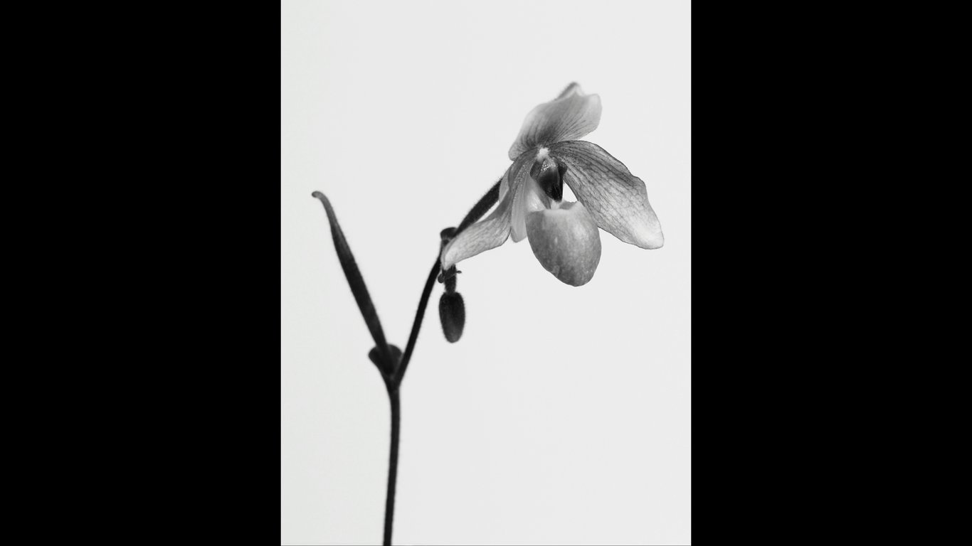 图片[50]-#Masami Nagasawa 长泽雅美 IQUEEN Vol.11 - 全本免费在线观看-阅图吧