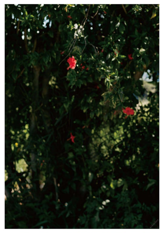 图片[18]-#與你襄遇 林襄數位寫真(2021-05-03) - 全本免费在线观看-阅图吧