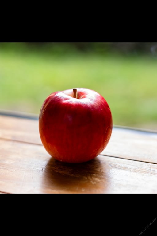 图片[48]-#光りが射す方へ 妃ひかり【ヌード写真集】 - 全本免费在线观看-阅图吧