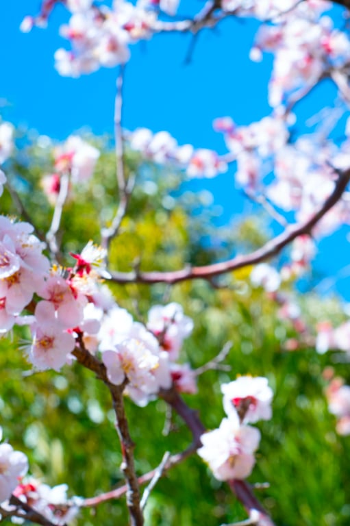 图片[29]-うみに溺れて 及川海【グラビア写真集】 - 在线免费观看-阅图吧