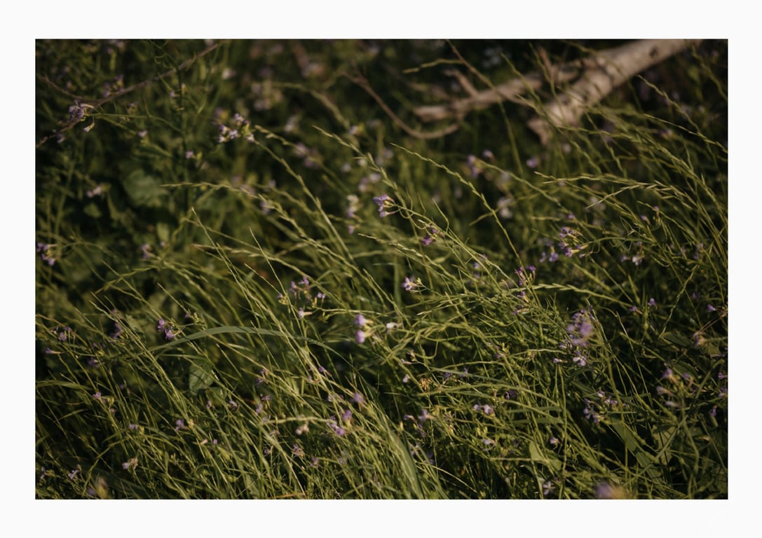 图片[128]-ふれたくなる？红羽理樱 Kindle限定写真集 (wunder_publishing_house) - 在线免费观看-阅图吧