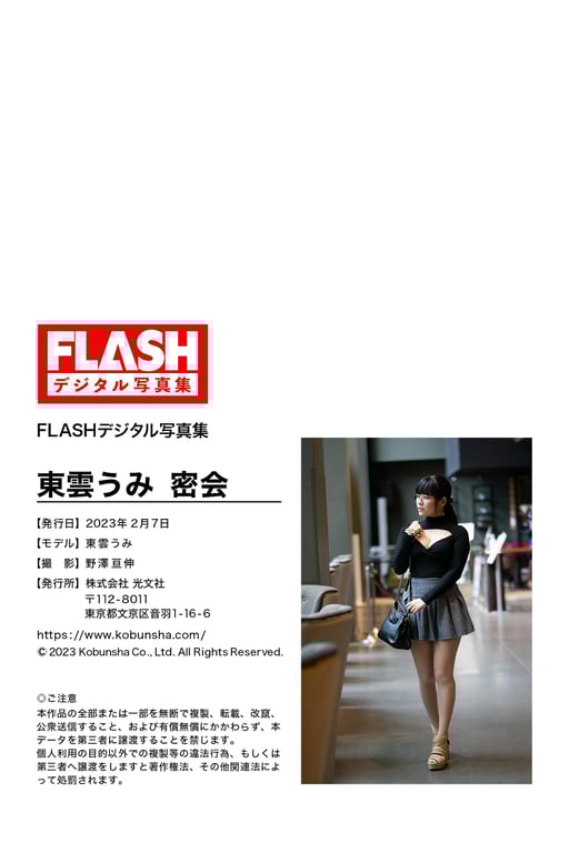 FLASHデジタル写真集 东云海 密会(2023-02-07)-阅图吧