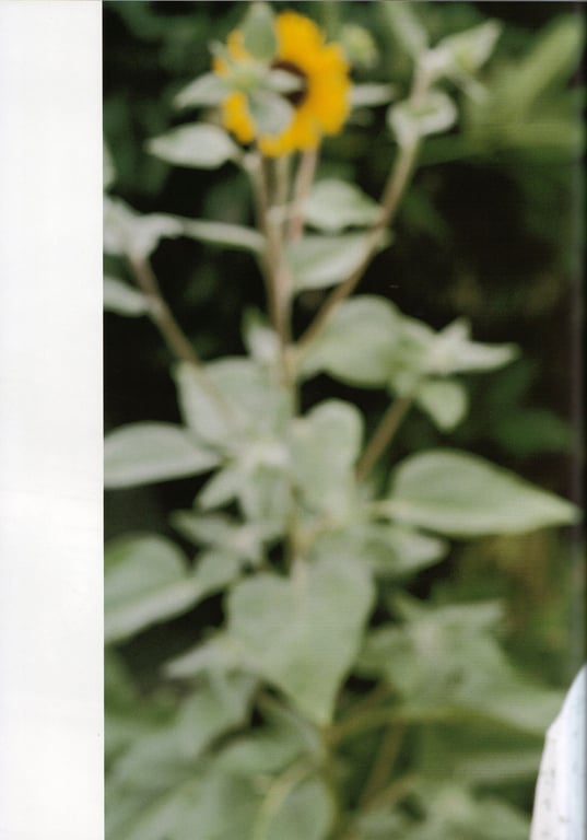 图片[77]-#Maki Horikita 堀北真希 – Cinematic () (130P) - 全本免费在线观看-阅图吧