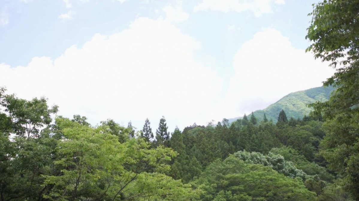 图片[19]-びしょ濡れＯＬ雨宿り強制わいせつ vol.1 中条カノン 松永さな 森本つぐみ (TMA) - 在线免费观看-阅图吧