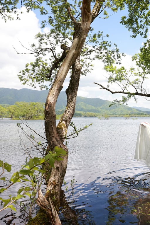 图片[47]-#FRIDAYデジタル写真集 盐地美澄 Ｎｏｃｔｕｒｎｅ Ａｌｌ未公开ＳｐｅｃｉａｌＥｄｉｔｉｏｎ ｖｏｌ．２ - 全本免费在线观看-阅图吧