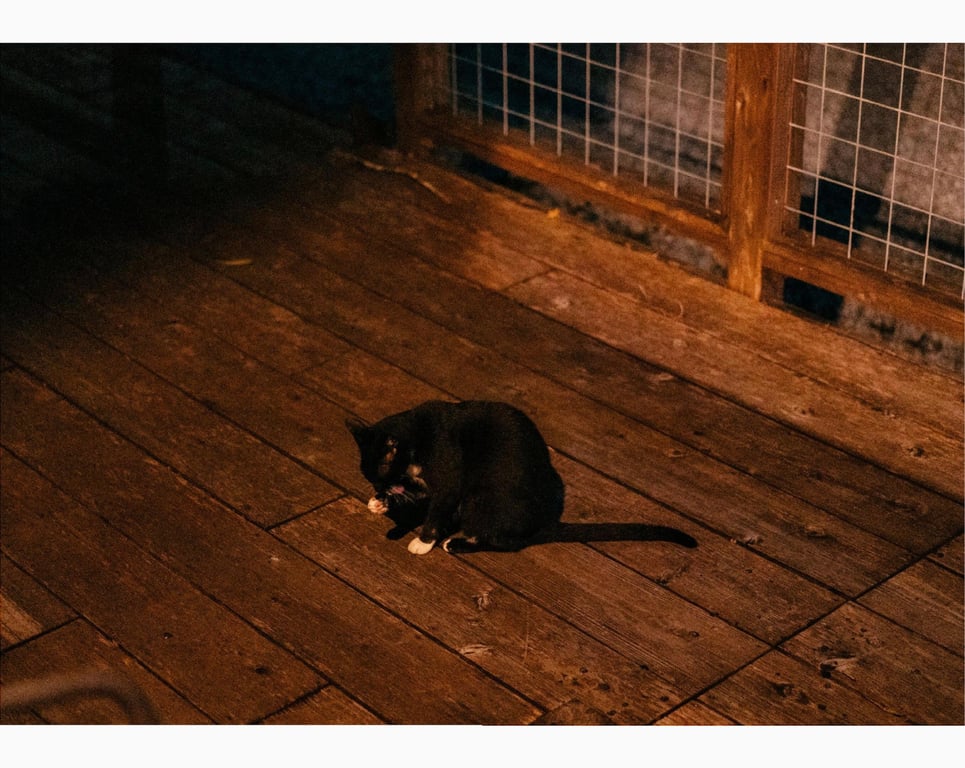 图片[99]-#美東澪 写真集 Nudity (wunder publishing house) - 全本免费在线观看-阅图吧