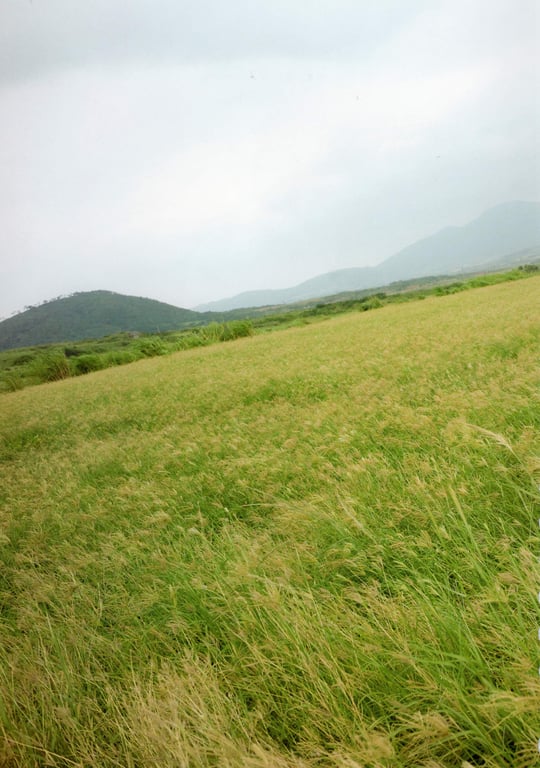 图片[13]-#Misa Eto 1st Photobook – COLOR - 全本免费在线观看-阅图吧