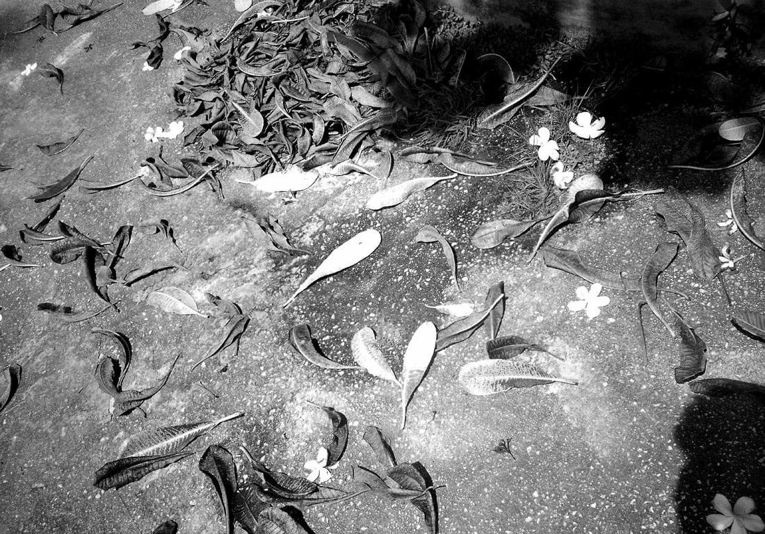 图片[94]-#三浦敦子 – ATSUKO MIURA／泽渡 肇 - 全本免费在线观看-阅图吧