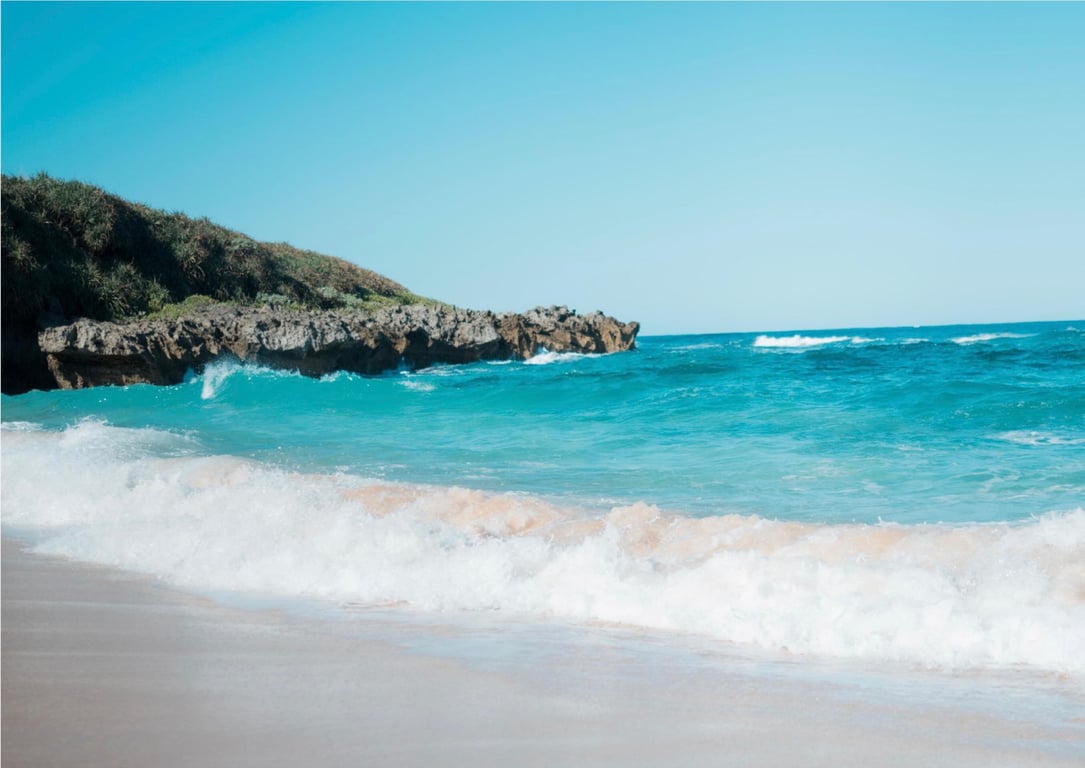 图片[162]-九十九ぱて 1st e-book 来这边？(wunder publishing house) - 在线免费观看-阅图吧