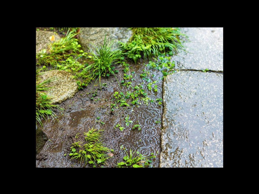 图片[18]-めぞん未ノ刻 ～魅惑な管理人～ 通野未帆 グラビア写真集 - 在线免费观看-阅图吧