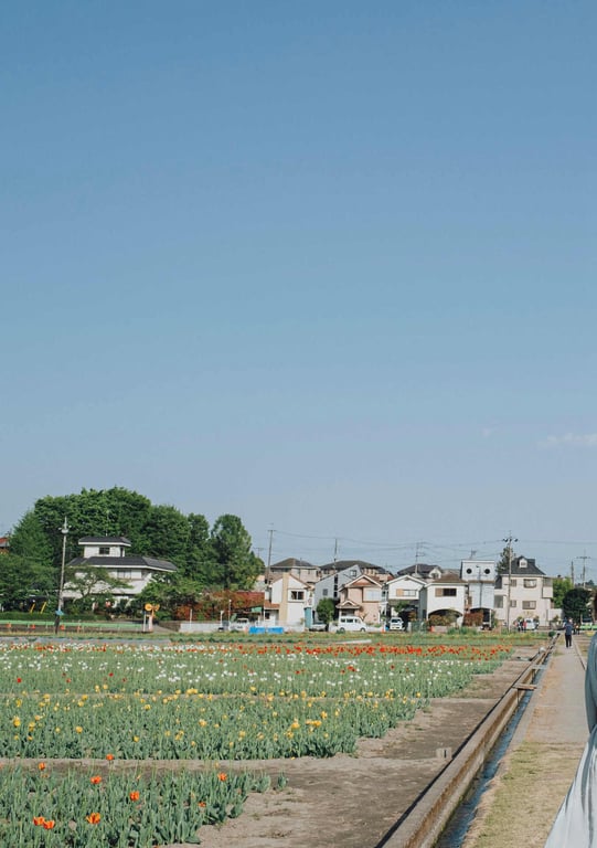 图片[147]-#Minami Kojima 小岛南 – Trance Retinal 被夺取 (2021-09-27) - 全本免费在线观看-阅图吧