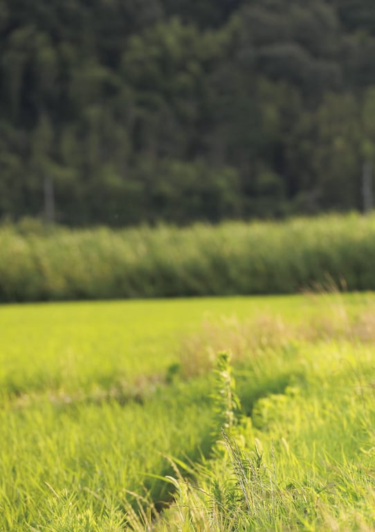 图片[101]-#似鸟沙也加 PHOTO BOOK 『PURE』 (TSUTAYA ORIGINAL PHOTO BOOK) - 全本免费在线观看-阅图吧