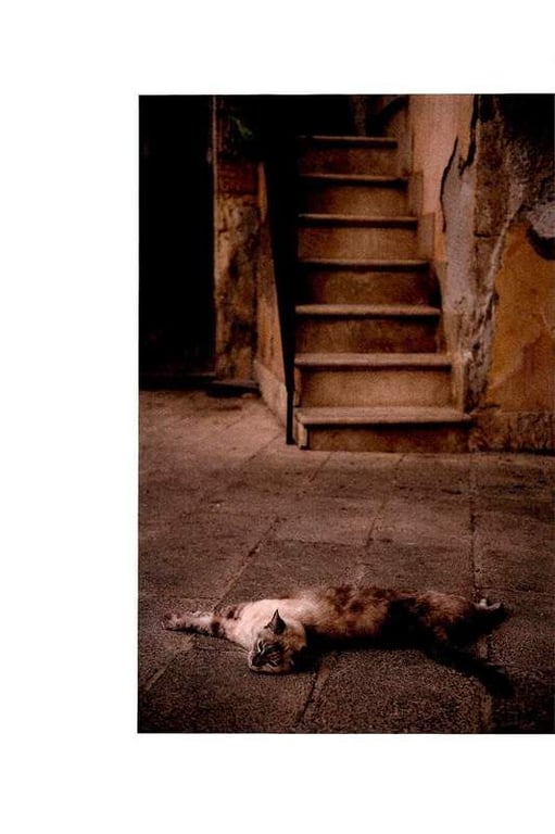 图片[33]-#2017.12.20 深田恭子写真集 palpito - 全本免费在线观看-阅图吧