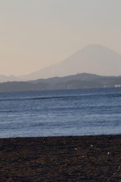 图片[77]-#Shoko Takahashi 高桥翔子 – Takasho Last show Takasho Last show (2022-04-08) - 全本免费在线观看-阅图吧