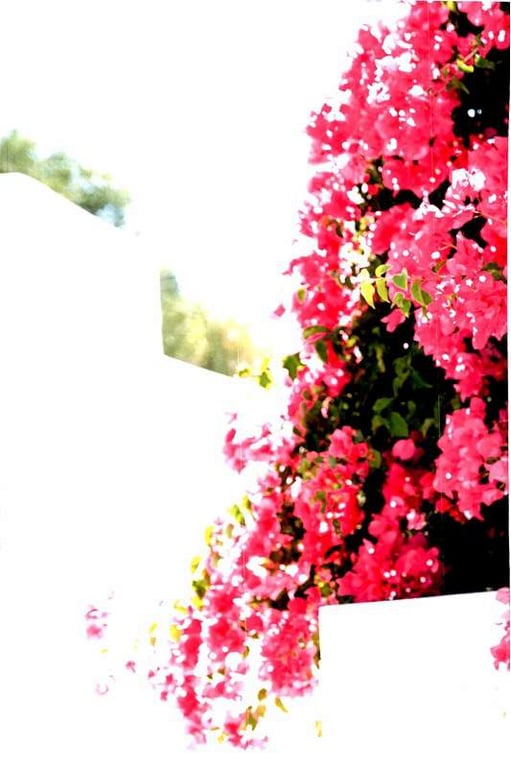 图片[11]-#2017.12.05 欅坂46 渡边梨加 1st写真集 『饶舌的眼神』 - 全本免费在线观看-阅图吧