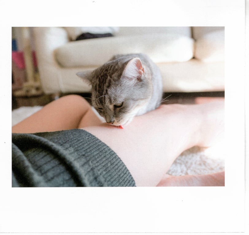 图片[33]-#青山裕企 Photobook 26sets\【青山裕企】猫与大腿 - 全本免费在线观看-阅图吧