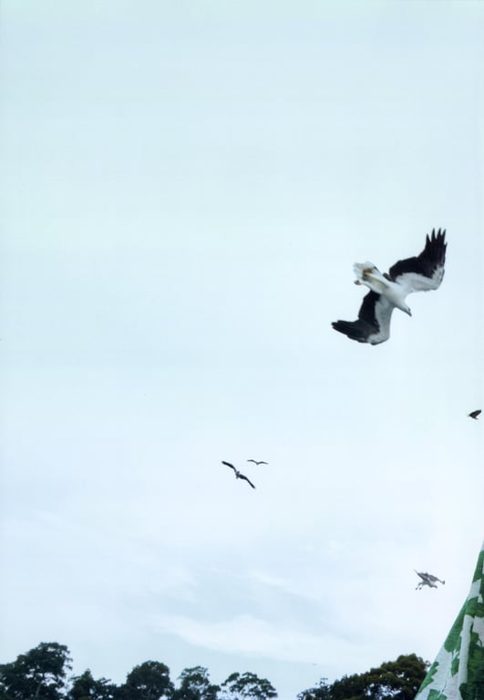 图片[7]-#日向坂46 佐佐木久美 1st写真集 翻阅的日常 - 全本免费在线观看-阅图吧