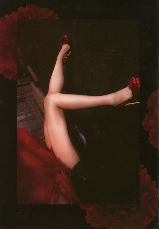 图片[28]-#Yuria Haga 芳贺优里亚 – Red x Pink 赤×粉红 (2014-02-22) - 全本免费在线观看-阅图吧