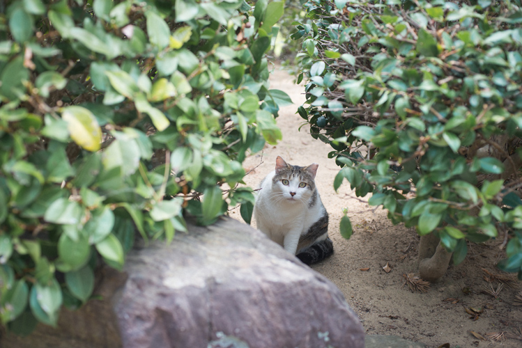 图片[57]-Ryoha Kitagawa 北川绫巴 - Driving Date with Girlfriend SKE48 与恋人的兜风约会 - 在线免费观看-阅图吧