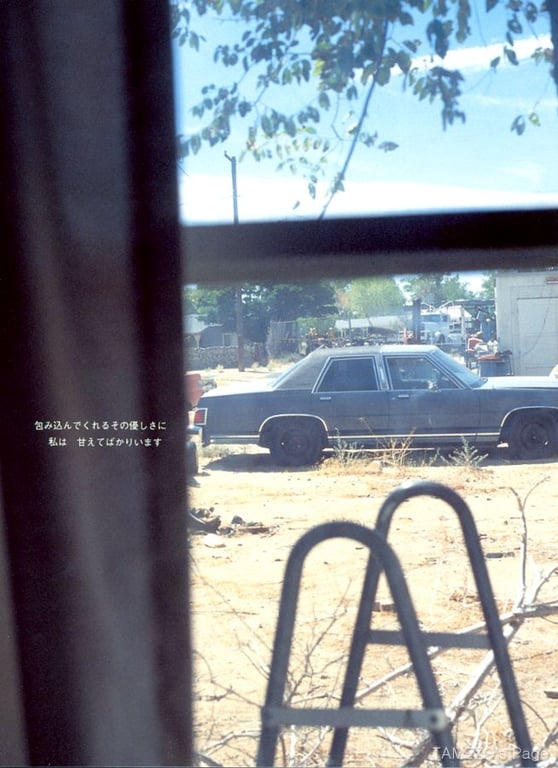 图片[26]-#乙叶 – LOVE STORY - 全本免费在线观看-阅图吧