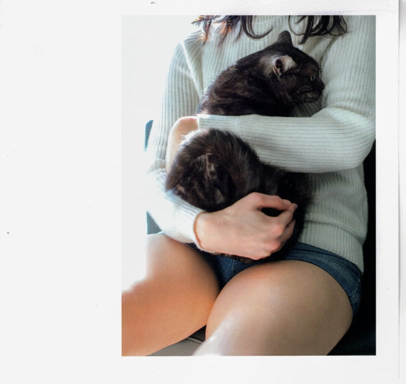 图片[52]-#青山裕企 Photobook 26sets\【青山裕企】猫与大腿 - 全本免费在线观看-阅图吧