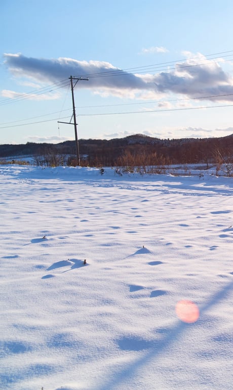 图片[179]-WPB 小宫有纱数字写真集～特装合本版～ 週プレ PHOTO BOOK (2019-03-25) - 在线免费观看-阅图吧