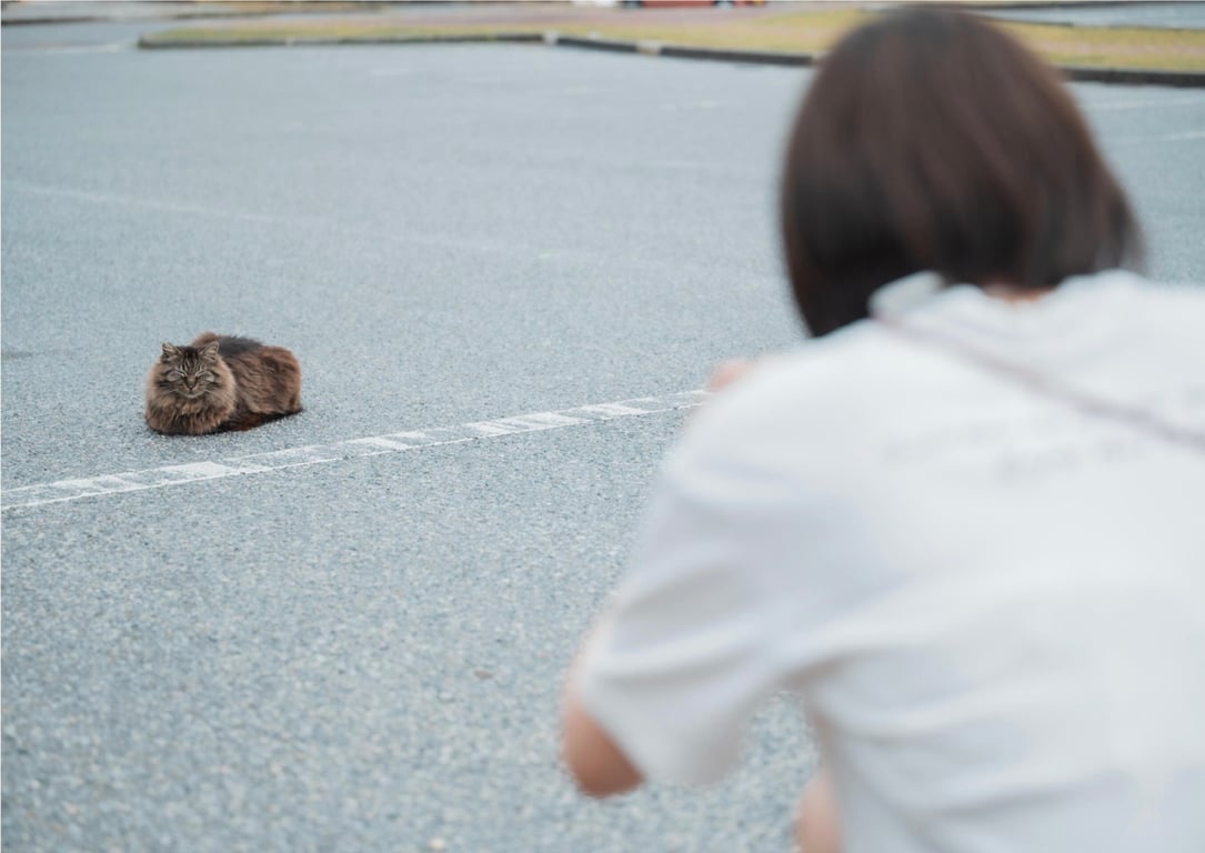 图片[58]-#天川星夏 写真集 希望你注视着我 (wunder publishing house) - 全本免费在线观看-阅图吧