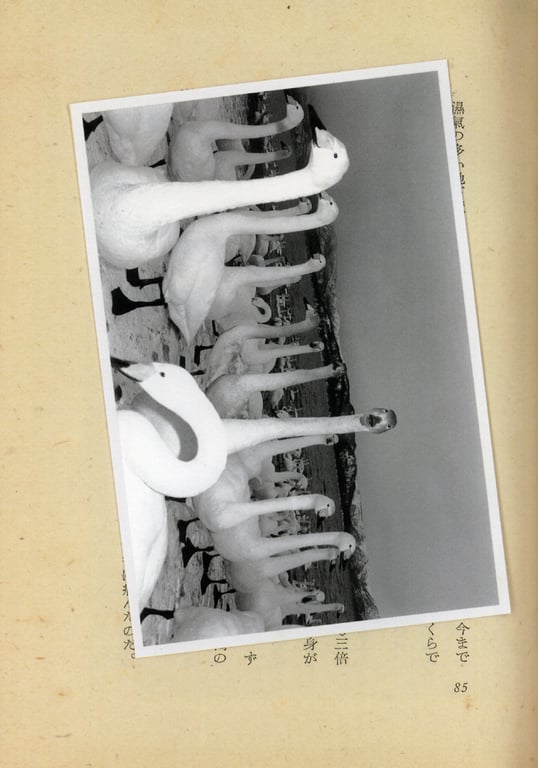 图片[17]-#(月刊シリーズ 076) – 月刊076 奥贯薰 - 全本免费在线观看-阅图吧