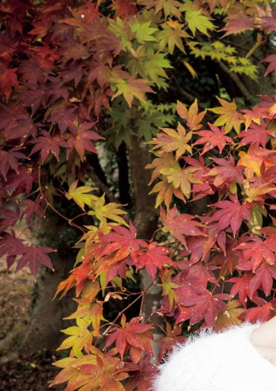 图片[7]-2024.03.20 石川澪写真集「21」 - 在线免费观看-阅图吧