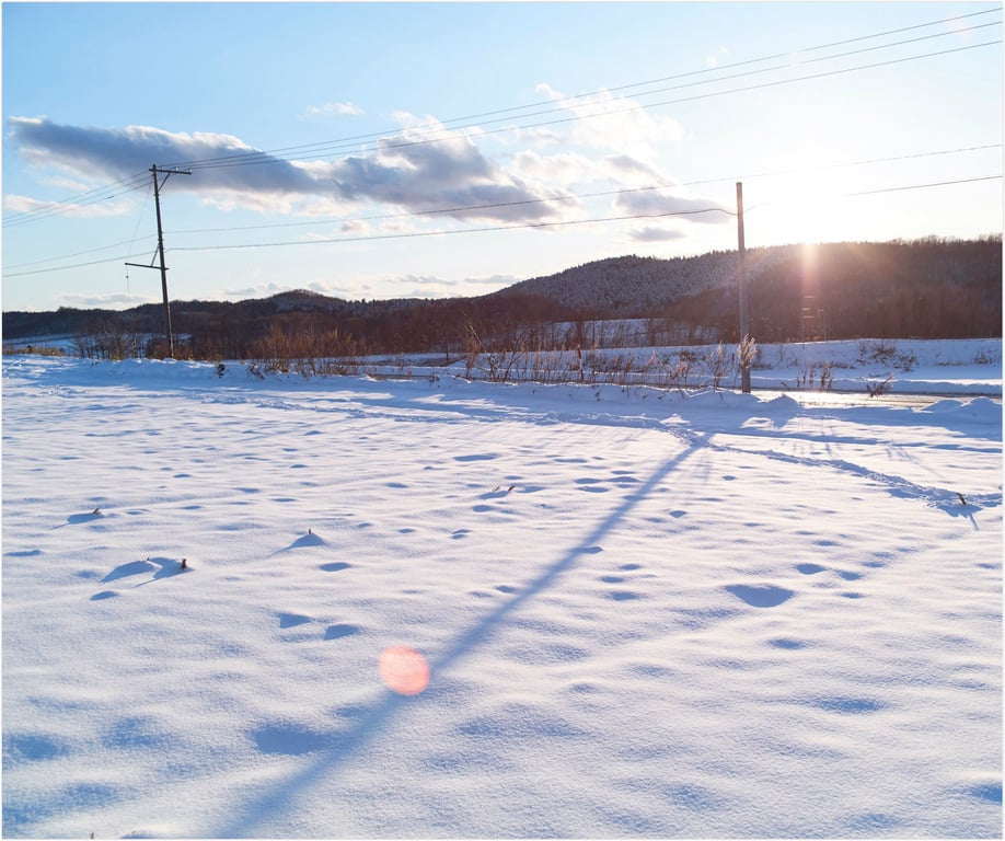 图片[177]-WPB 小宫有纱数字写真集～特装合本版～ 週プレ PHOTO BOOK (2019-03-25) - 在线免费观看-阅图吧