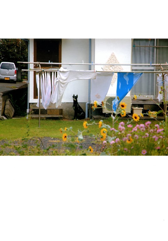 图片[46]-#Tomoka Kurokawa 黑川智花 – 15-year-old trajectory 15岁的轨迹 (2005-04-10) - 全本免费在线观看-阅图吧