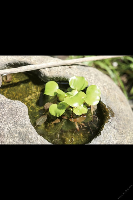 图片[117]-#めぞん今ノ刻 ～艶やかな管理人～ 真木今日子【ヌード写真集】 - 全本免费在线观看-阅图吧