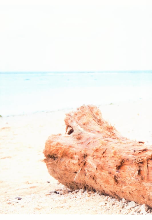 图片[133]-#Haruna Kojima 小嶋阳菜 – 1st. Photo Book Kojiharu 1st.写真集 小阳 - 全本免费在线观看-阅图吧