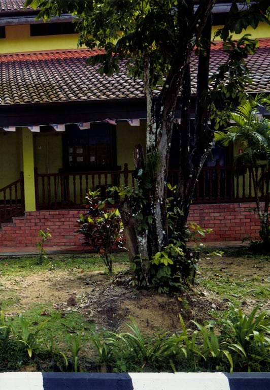 图片[32]-#日向坂46 佐佐木久美 1st写真集 翻阅的日常 - 全本免费在线观看-阅图吧