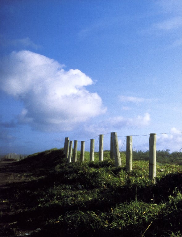 图片[58]-#山本梓 – Azumi Milk - 全本免费在线观看-阅图吧