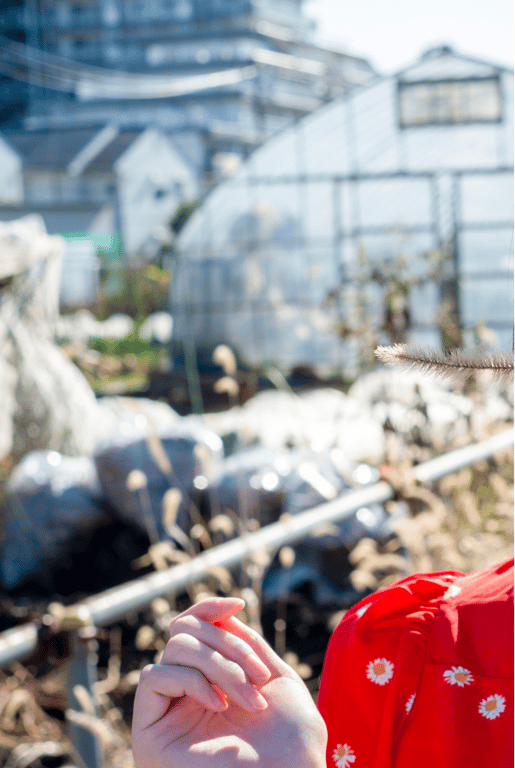 图片[48]-#森日向子 公式写真集 青春 #アオハル - 全本免费在线观看-阅图吧