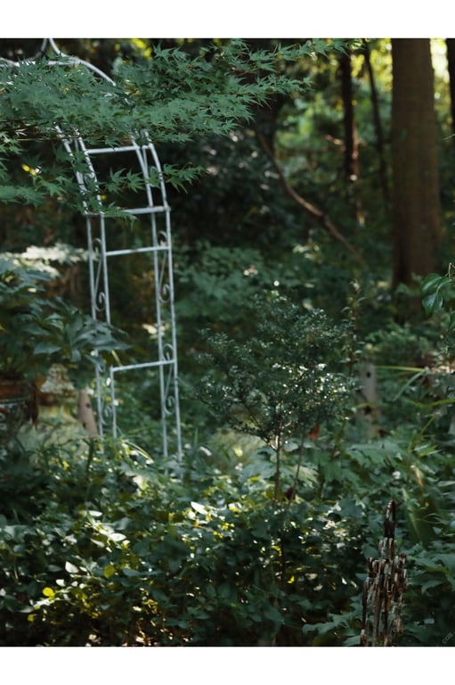 图片[16]-#Chiaki Hiratsuka 平塚千瑛 – Bush of love 爱之茂丛 (2019-09-20) - 全本免费在线观看-阅图吧